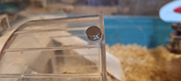 Magnet attached to the hamster wheel